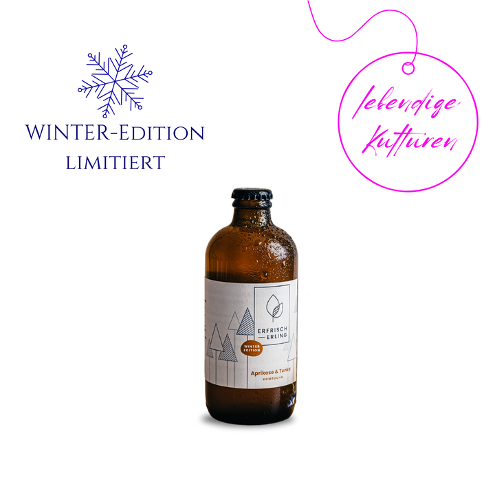 ERFRISCHERLING - Kombucha - Aprikose & Tonka - Winter-Edition (12er Pack)