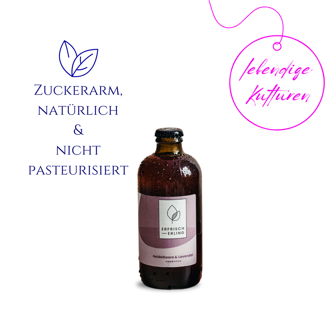 ERFRISCHERLING - Kombucha - Heidelbeere & Lavendel (12er Pack)