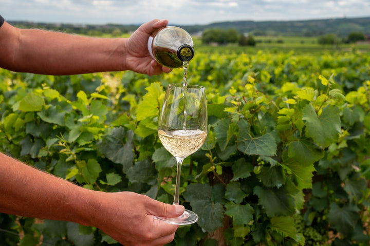 Alkoholfreier Wein Tasting Set: Riesling