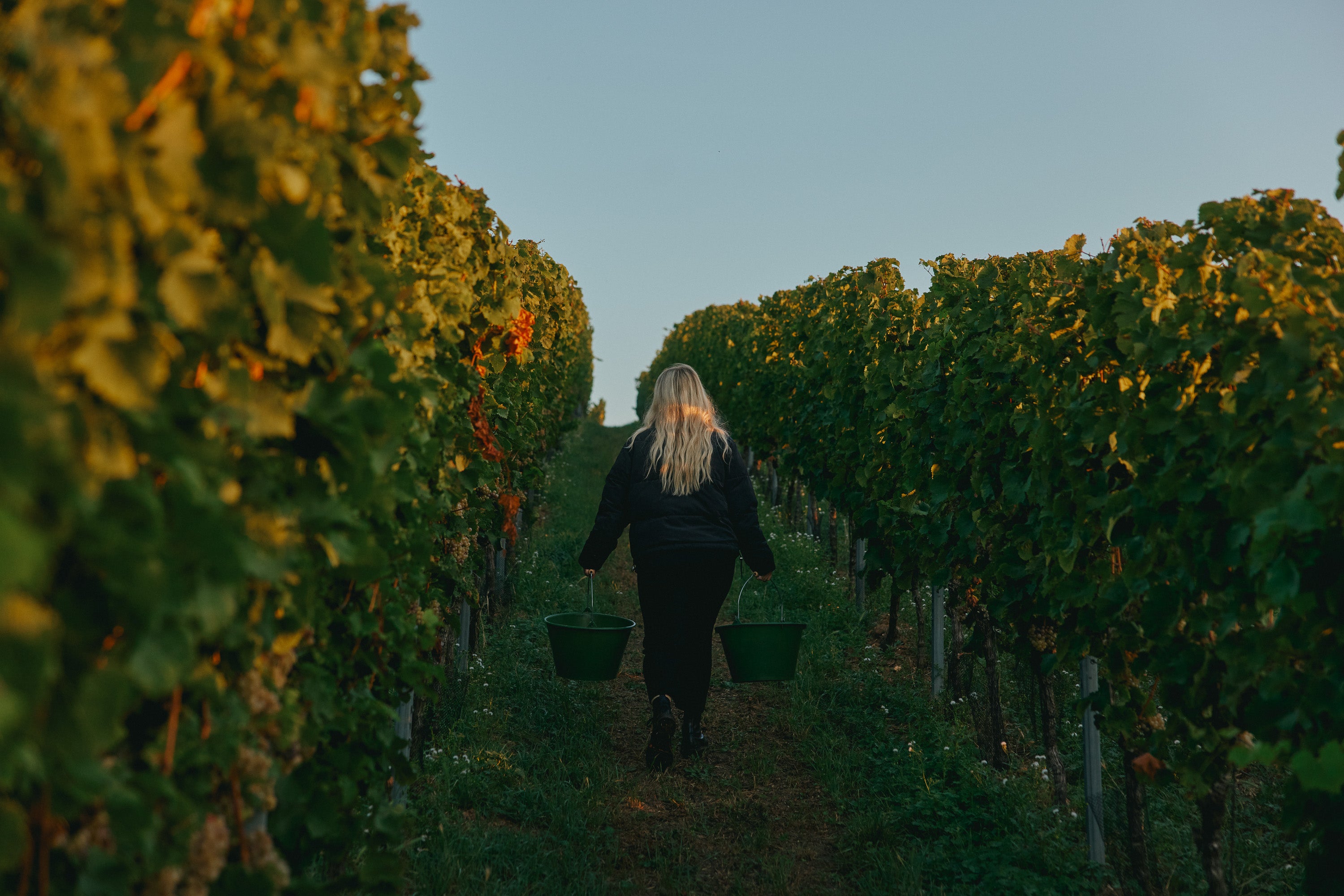 i-am-not-wine-alkoholfrei